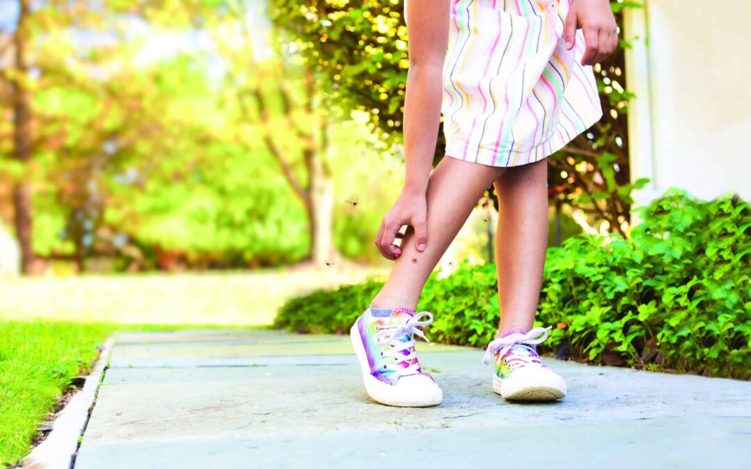 Spring Has Spring! 4 Reasons to Book Mosquito Squad!